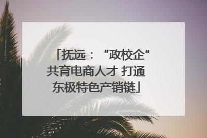 抚远：“政校企”共育电商人才 打通东极特色产销链